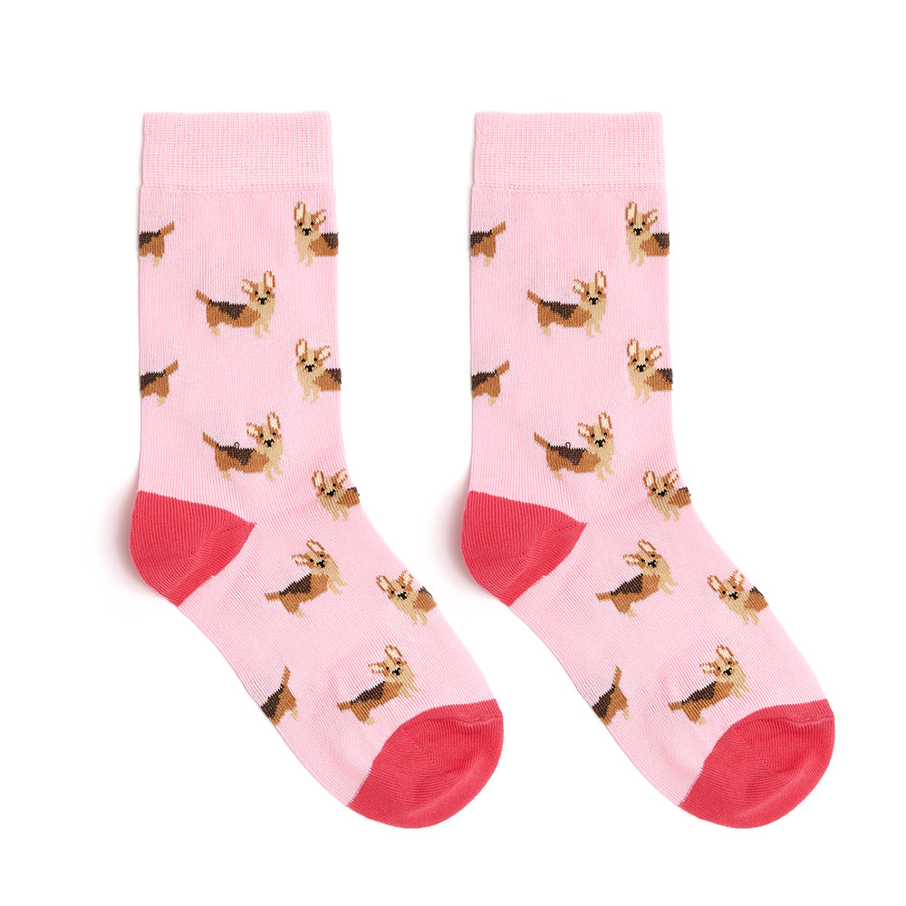 Corgi dog socks clearance